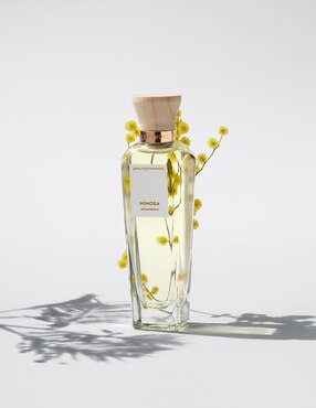 Eau de toilette Adolfo Dominguez Agua Fresca De Mimosa Coriandro para mujer