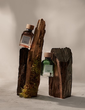 Eau de parfum Adolfo Dominguez Vetiver Terra para hombre