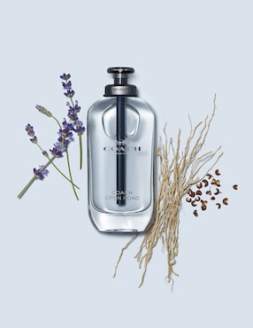 Eau de toilette Coach Open Road para hombre