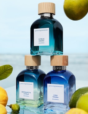 Eau de toilette Adolfo Dominguez Citrus Cedro para hombre
