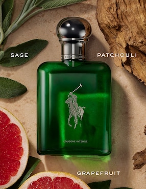Colonia Ralph Lauren Polo para hombre