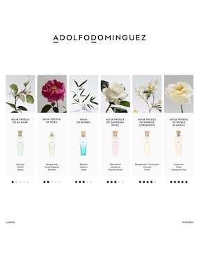 Eau de toilette Adolfo Dominguez Agua Fresca de Bambú para mujer