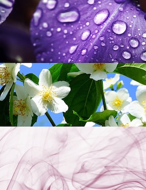Eau de toilette Marc Jacobs Daisy para mujer