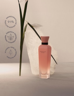 Set Eau de parfum Adolfo Dominguez Terracota Musk para mujer