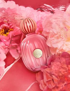 Set Eau de parfum Antonio Banderas The Icon Splendid para mujer