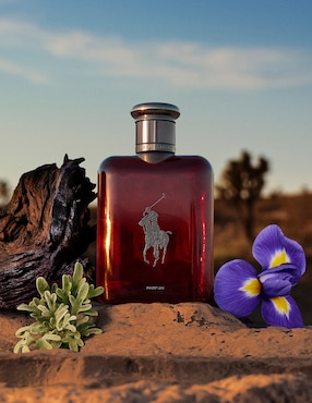 Set Parfum Ralph Lauren Polo Red para hombre