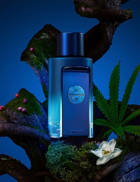 Eau de parfum Antonio Banderas The Icon Supreme para hombre