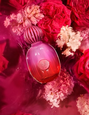 Kit Eau de parfum Antonio Banderas The Icon Supreme para mujer