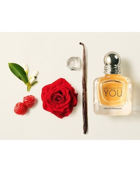 Eau de parfum Giorgio Armani Because It’S You para mujer