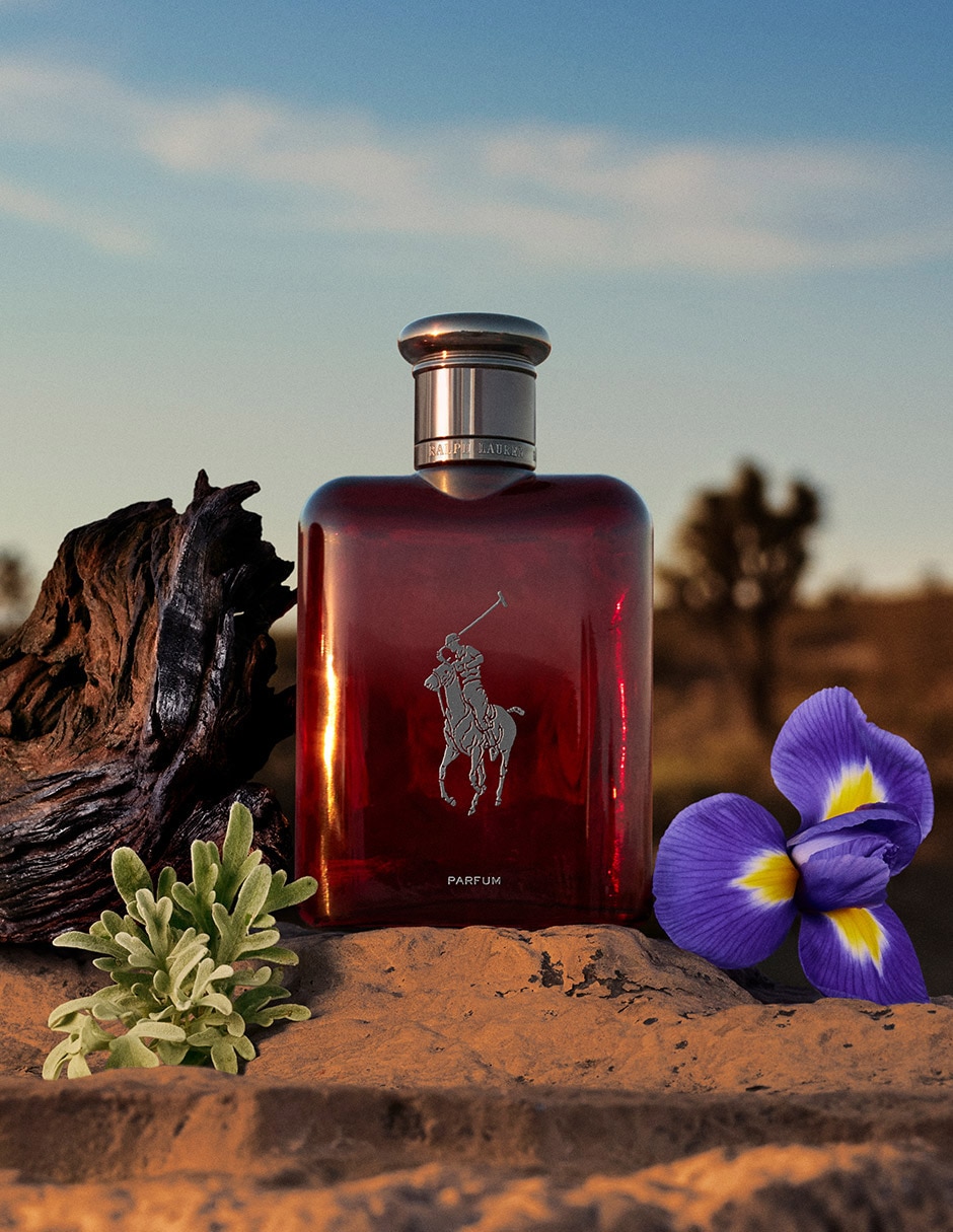 Set Parfum Polo Red para hombre 5