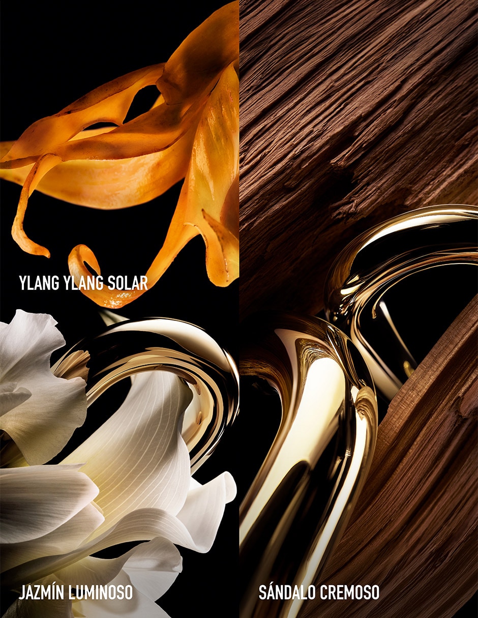 Parfum Million Gold para mujer 5