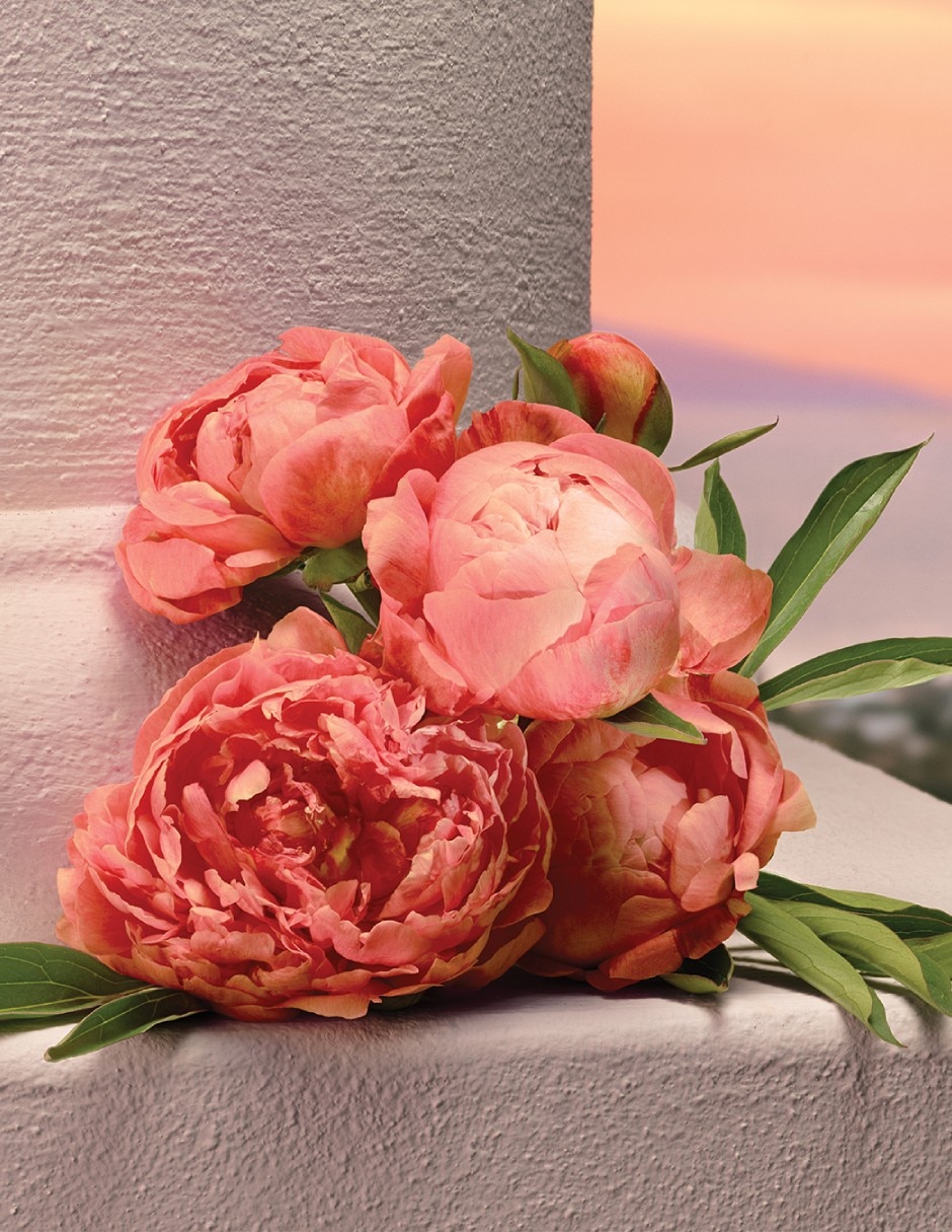 Eau de parfum Devotion para mujer 5